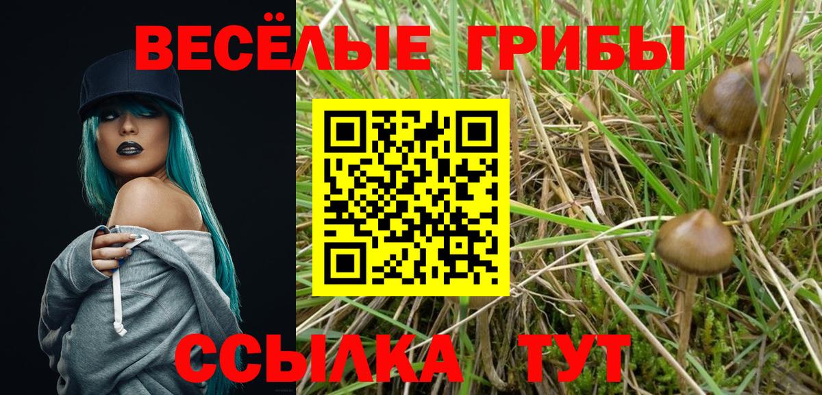 Галлюциногенные грибы GOLDEN TEACHER  купить наркоту  Псилоцибиновые грибы GOLDEN TEACHER  Выкса  Вход с VPN 