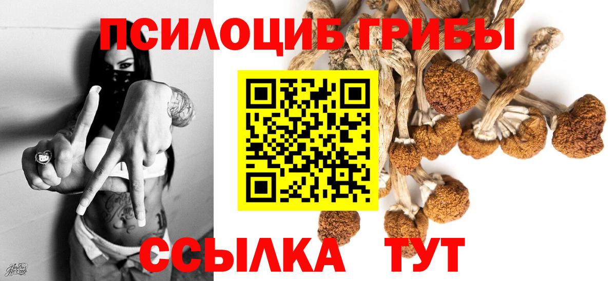 Псилоцибиновые грибы Psilocybe Выкса